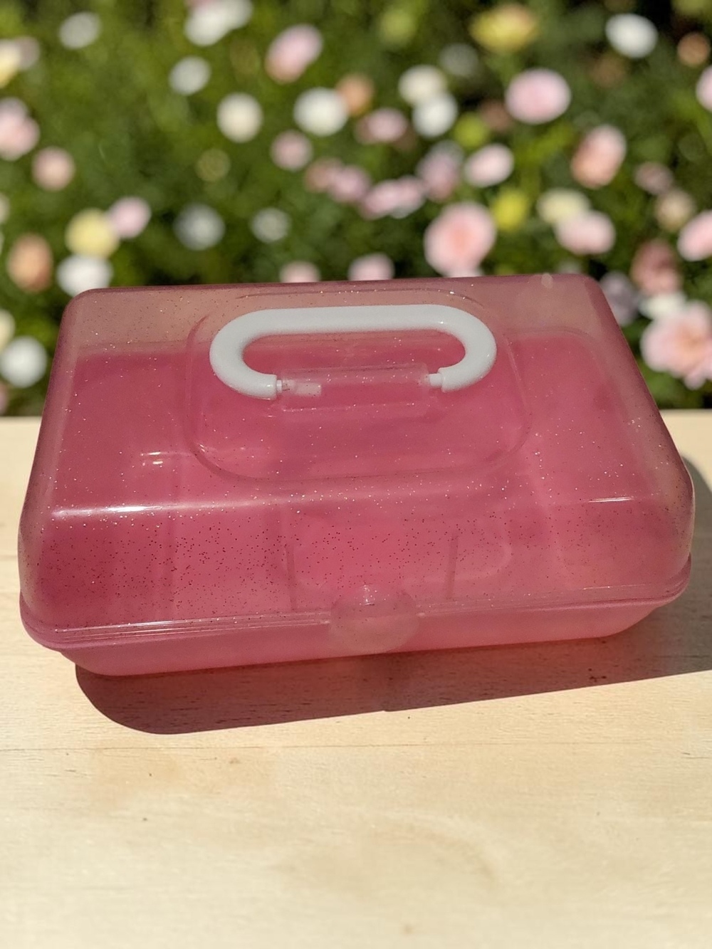 10 / $10 Pink Travel Case with Handle